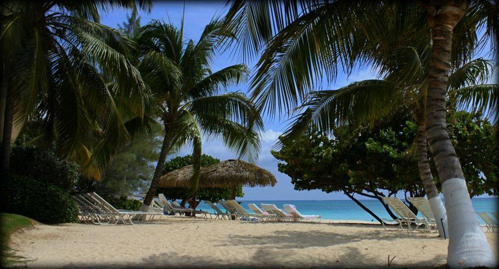 Caribbean Club Boutique Hotel, Grand Cayman Dog City Eksteriør bilde