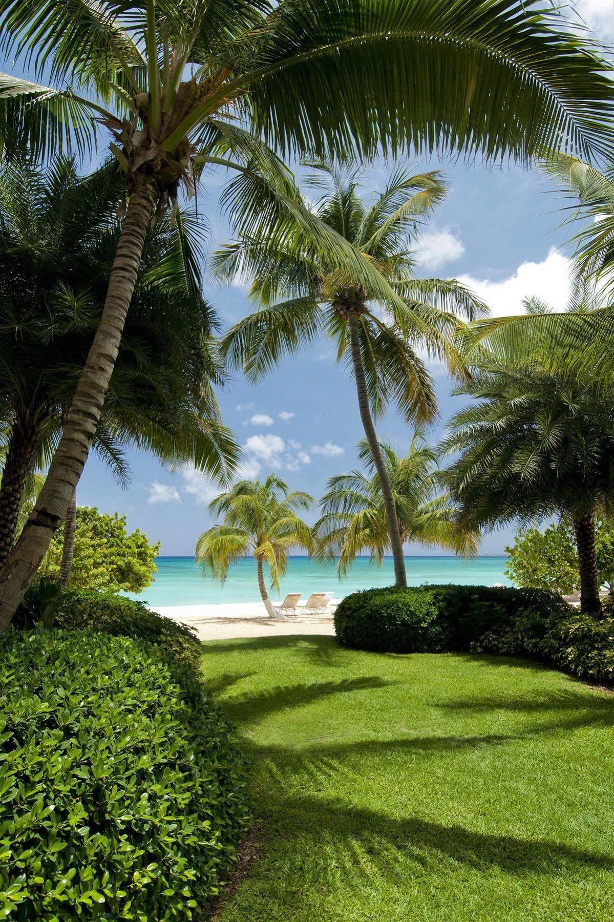 Caribbean Club Boutique Hotel, Grand Cayman Dog City Eksteriør bilde